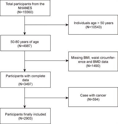 The Saturation Effect of Obesity on Bone Mineral Density for Older People: The NHANES 2017–2020